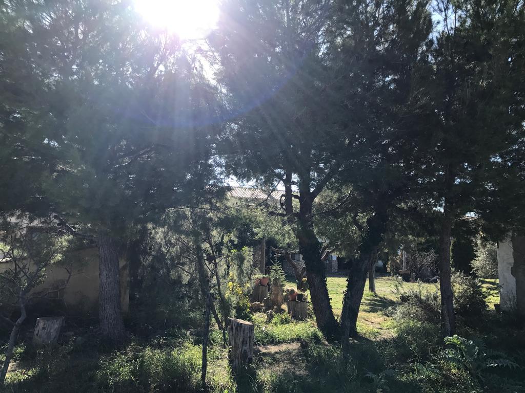 Casa Rural La Granja Letur Dış mekan fotoğraf
