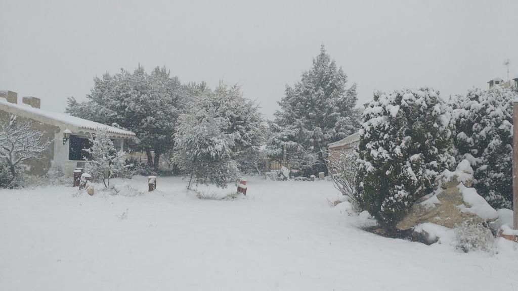 Casa Rural La Granja Letur Dış mekan fotoğraf